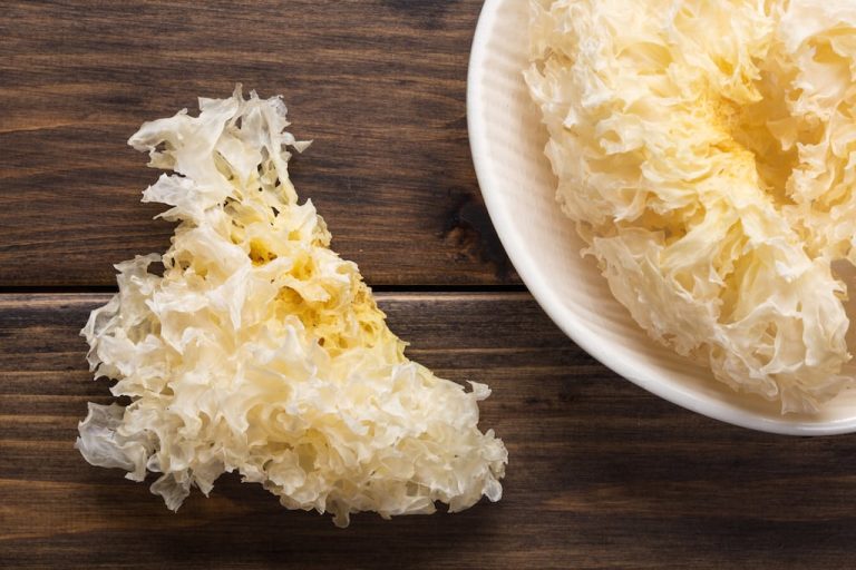 Tremella Fuciformis Polysaccharide AKA Snow Mushroom