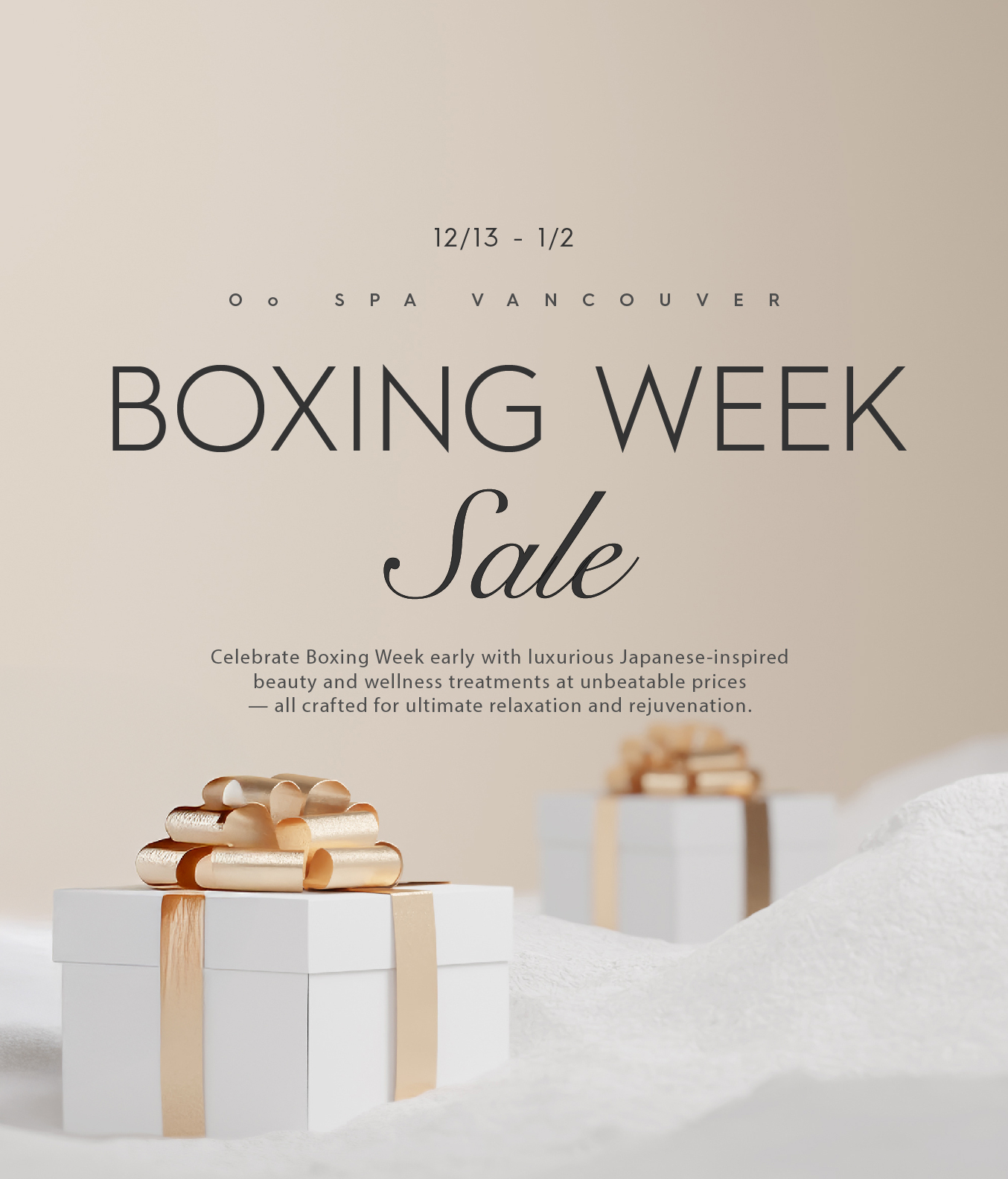 main boxing week promotional banner