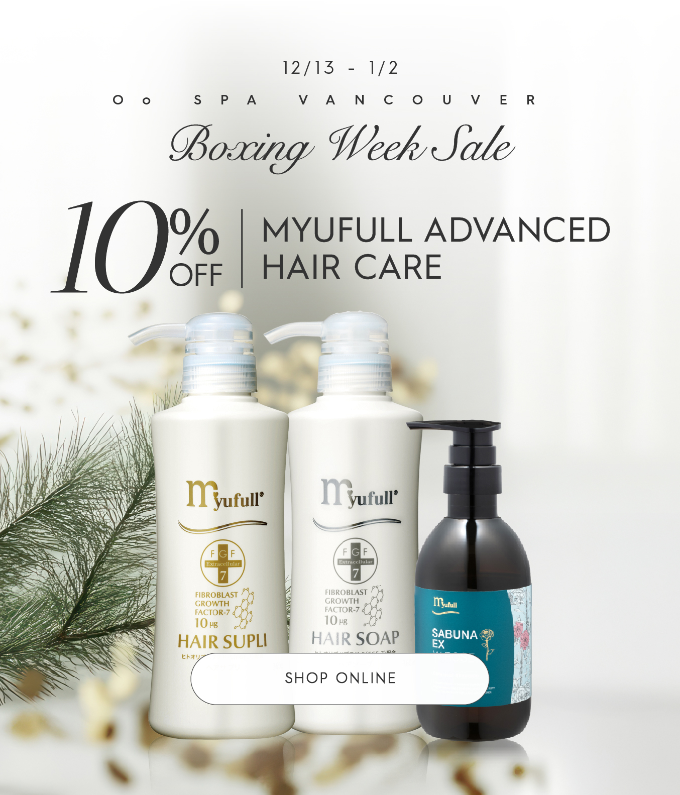 hair care products boxing week promotional banner